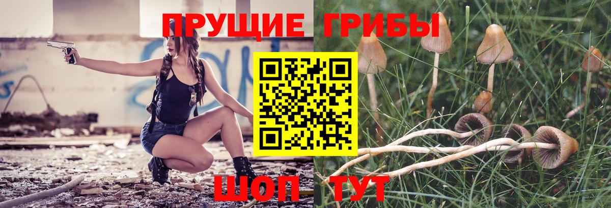Псилоцибиновые грибы Magic Shrooms Санкт-Петербург