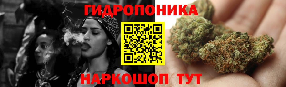 Бошки марихуана Bruce Banner  Вход с VPN  МАРИХУАНА White Widow  Конопля семена  Санкт-Петербург 